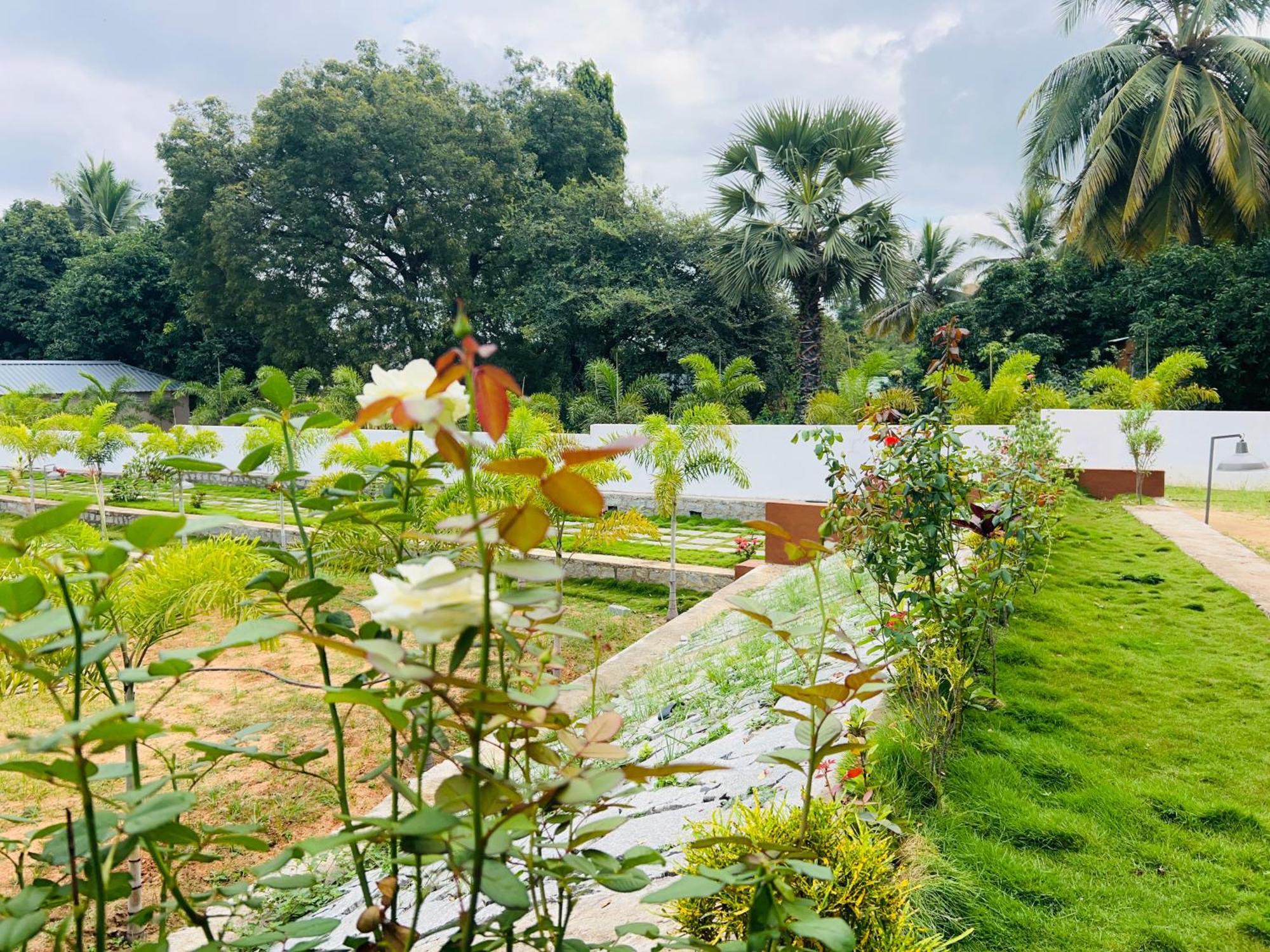 Hampi Village Resort & Tutti Cafe Экстерьер фото